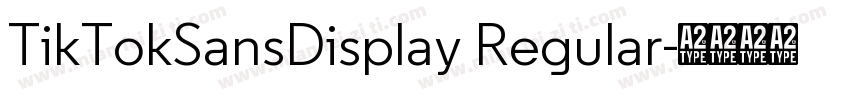 TikTokSansDisplay Regular字体转换
